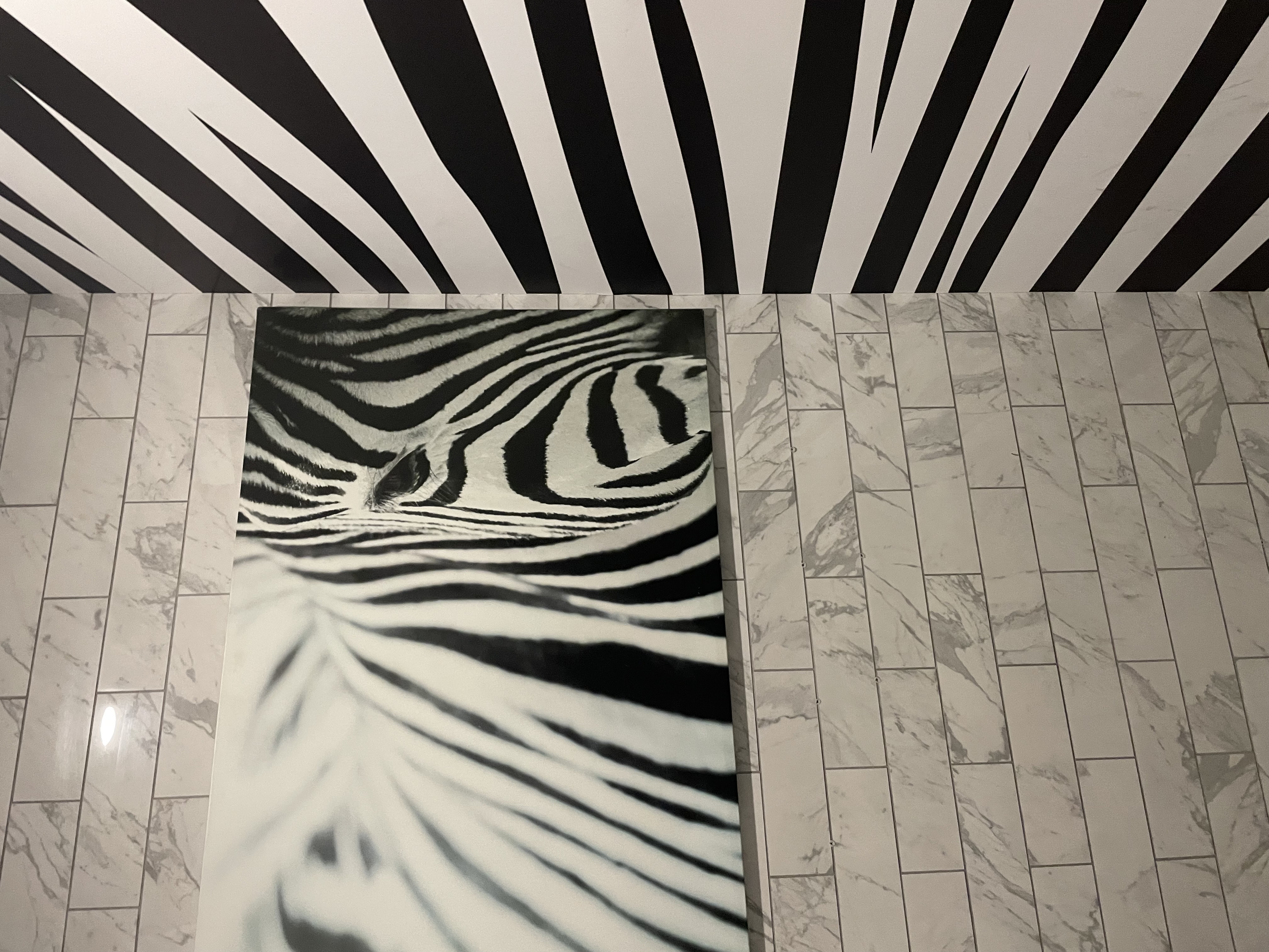 A painting of a Zebra's face next to a zebra-print painted wall.