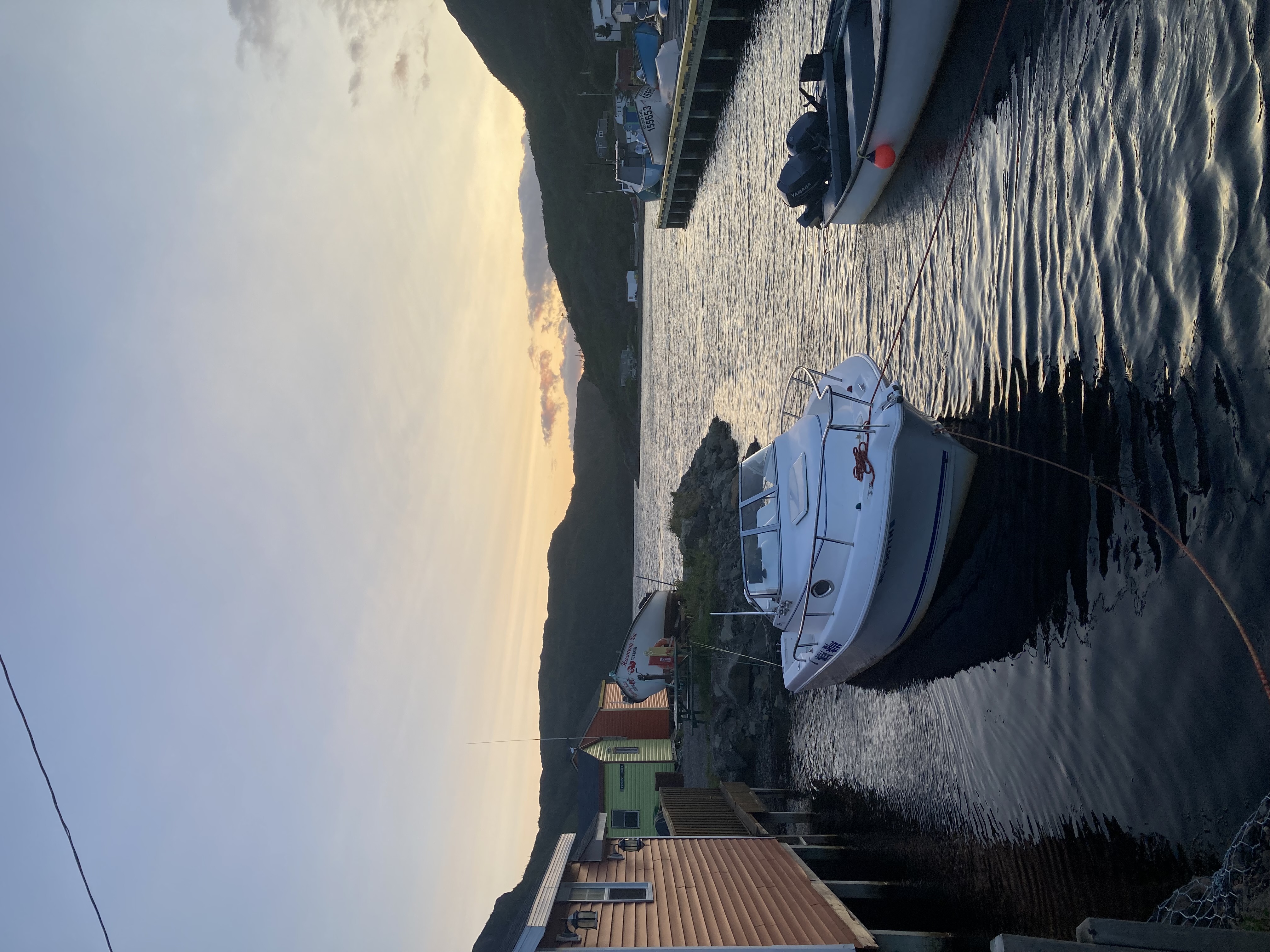 A white boat in the water on an ocean coastline next to a row of colourful sheds.