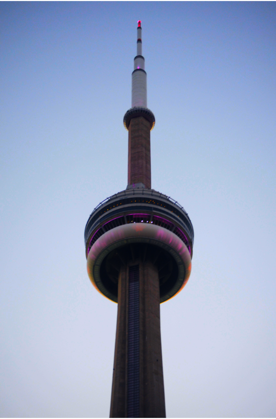 The CN tower, lit up as the sun starts to set.