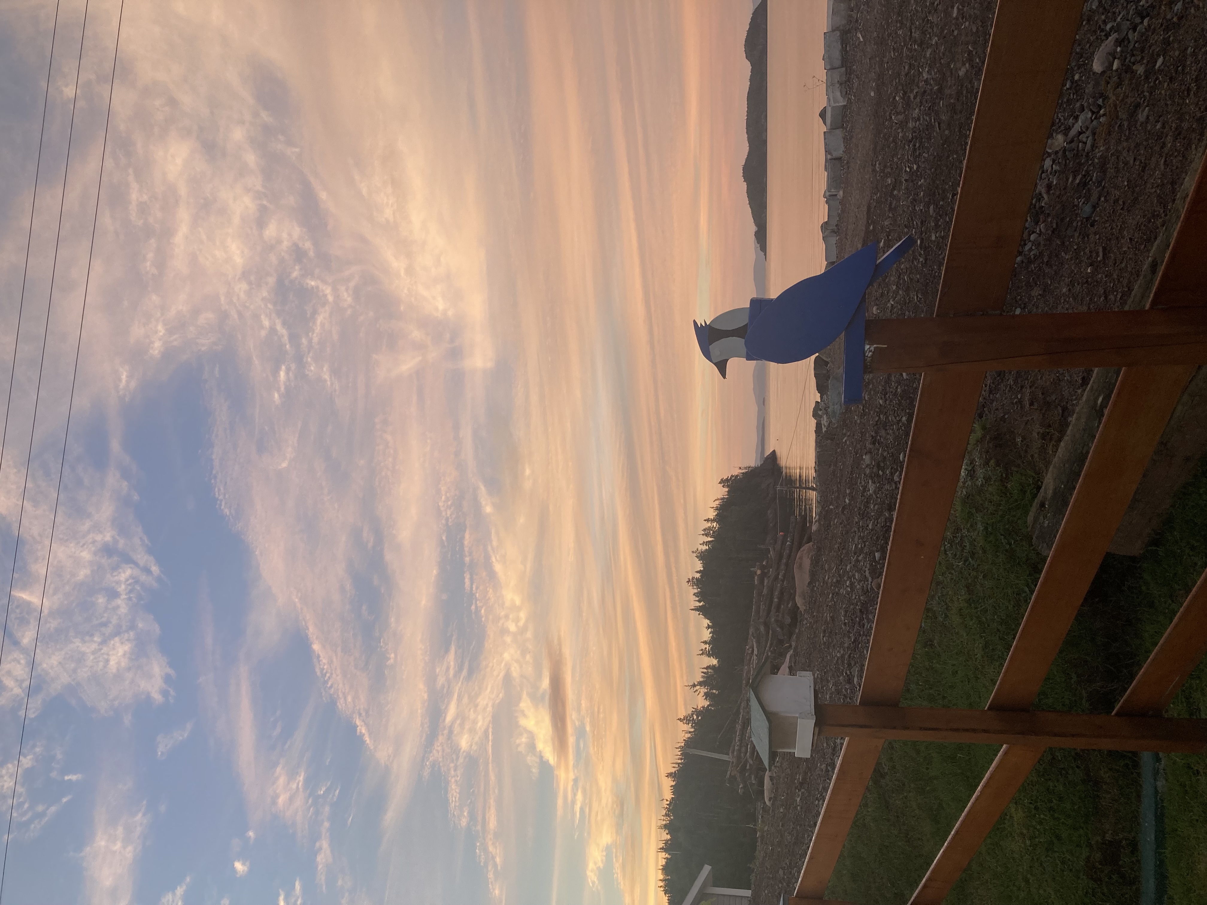 A bird feeder shaped like a bluejay against a pink sun setting over the ocean.
