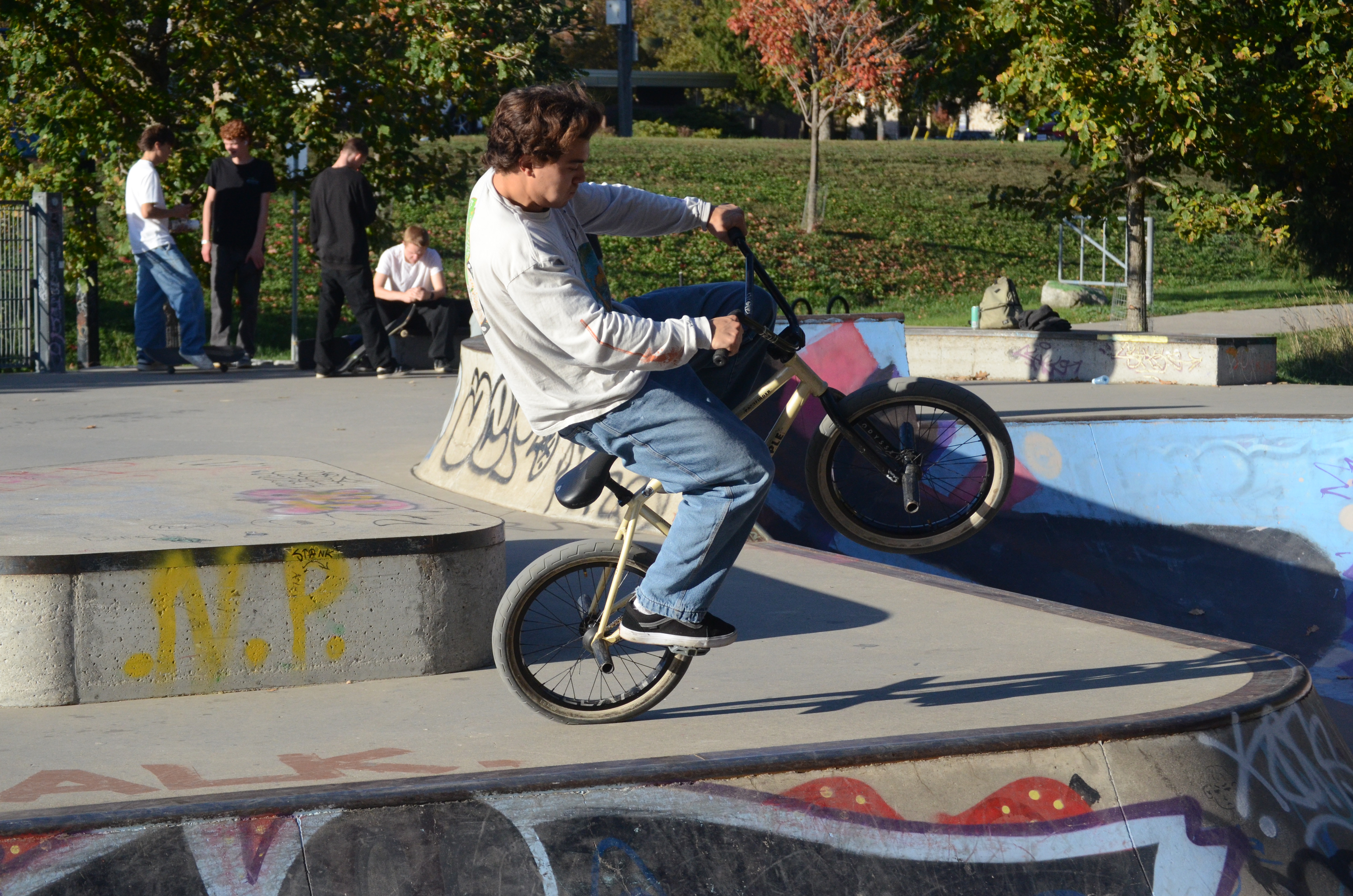 Dark-haired man popping a wheelie on a BMX bike at the skatepark.