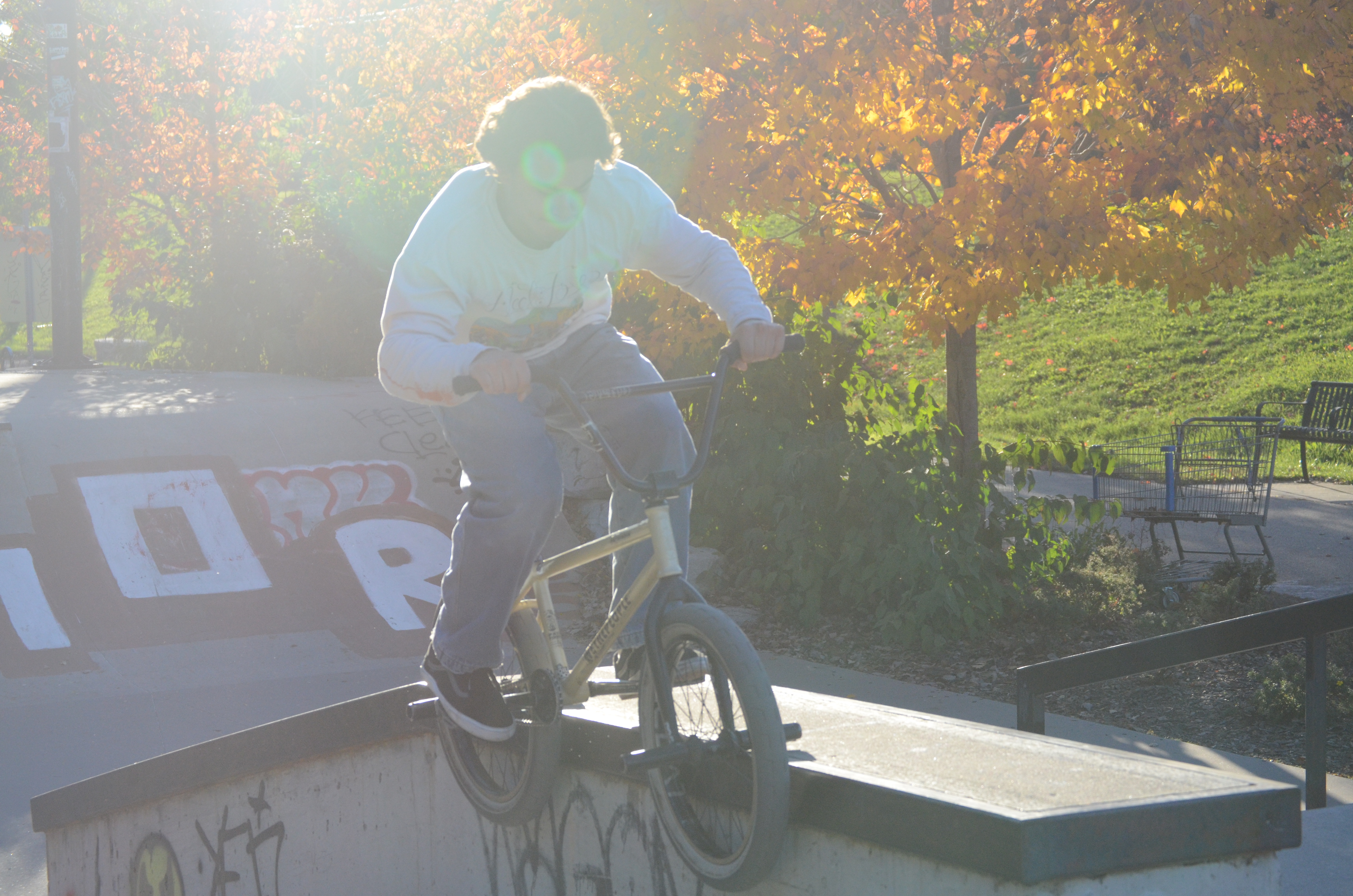 Dark-haired man grinding a rail at the skatepark on a BMX bike.