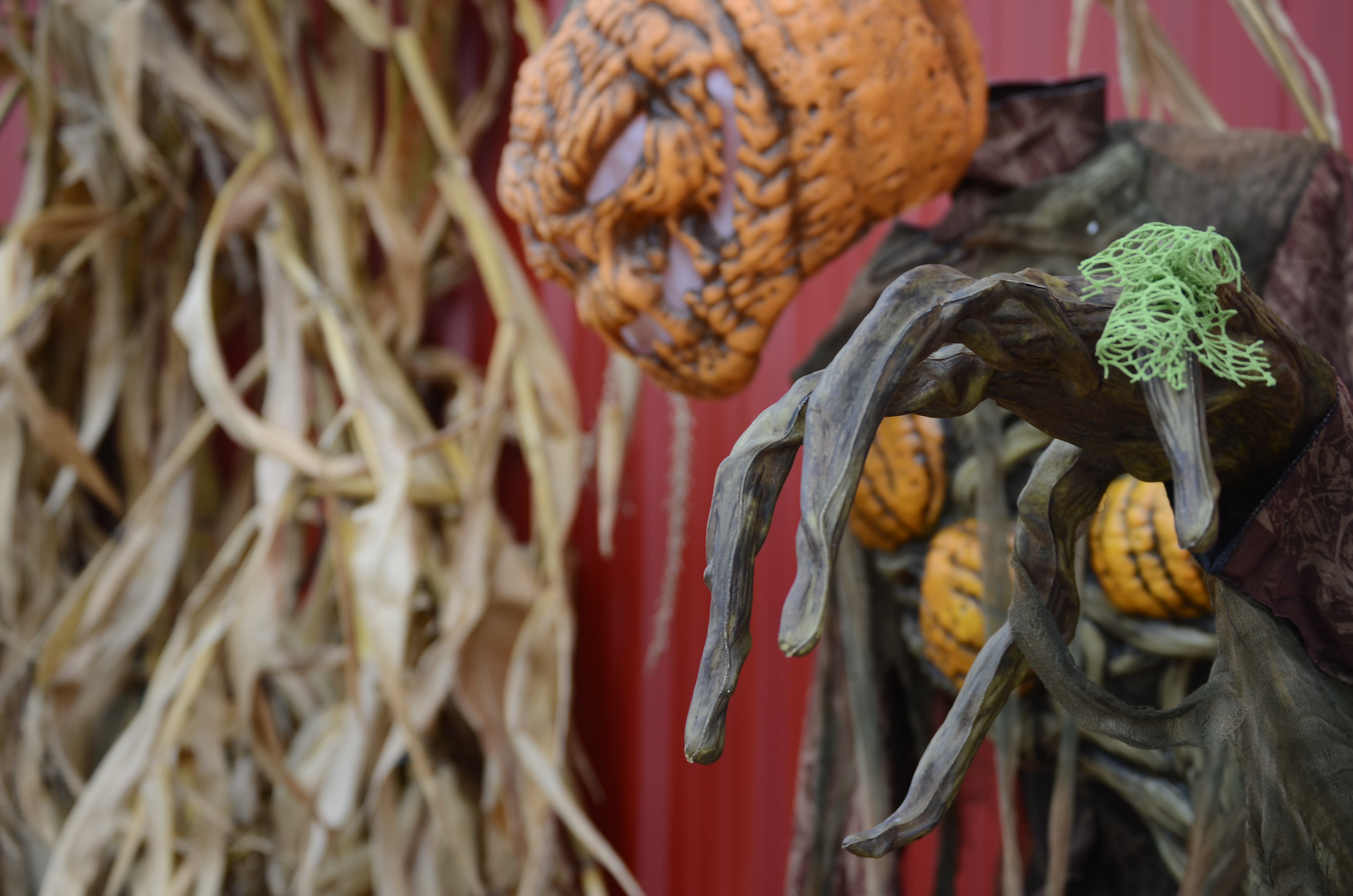 The lanky hand of a creepy halloween decoration reaching toward the camera.