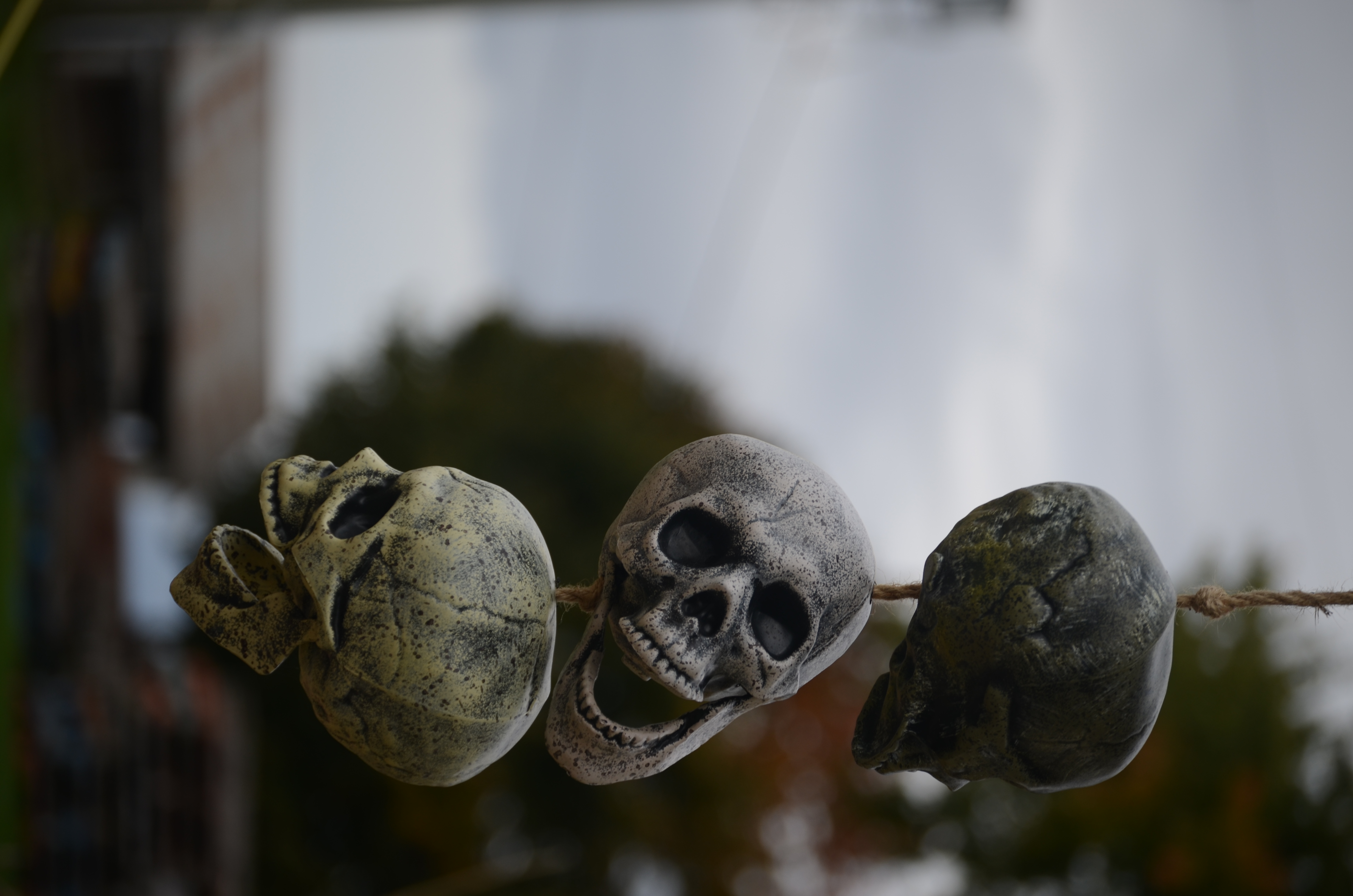 Three plastic skulls hanging on a string on a cloudy fall day.