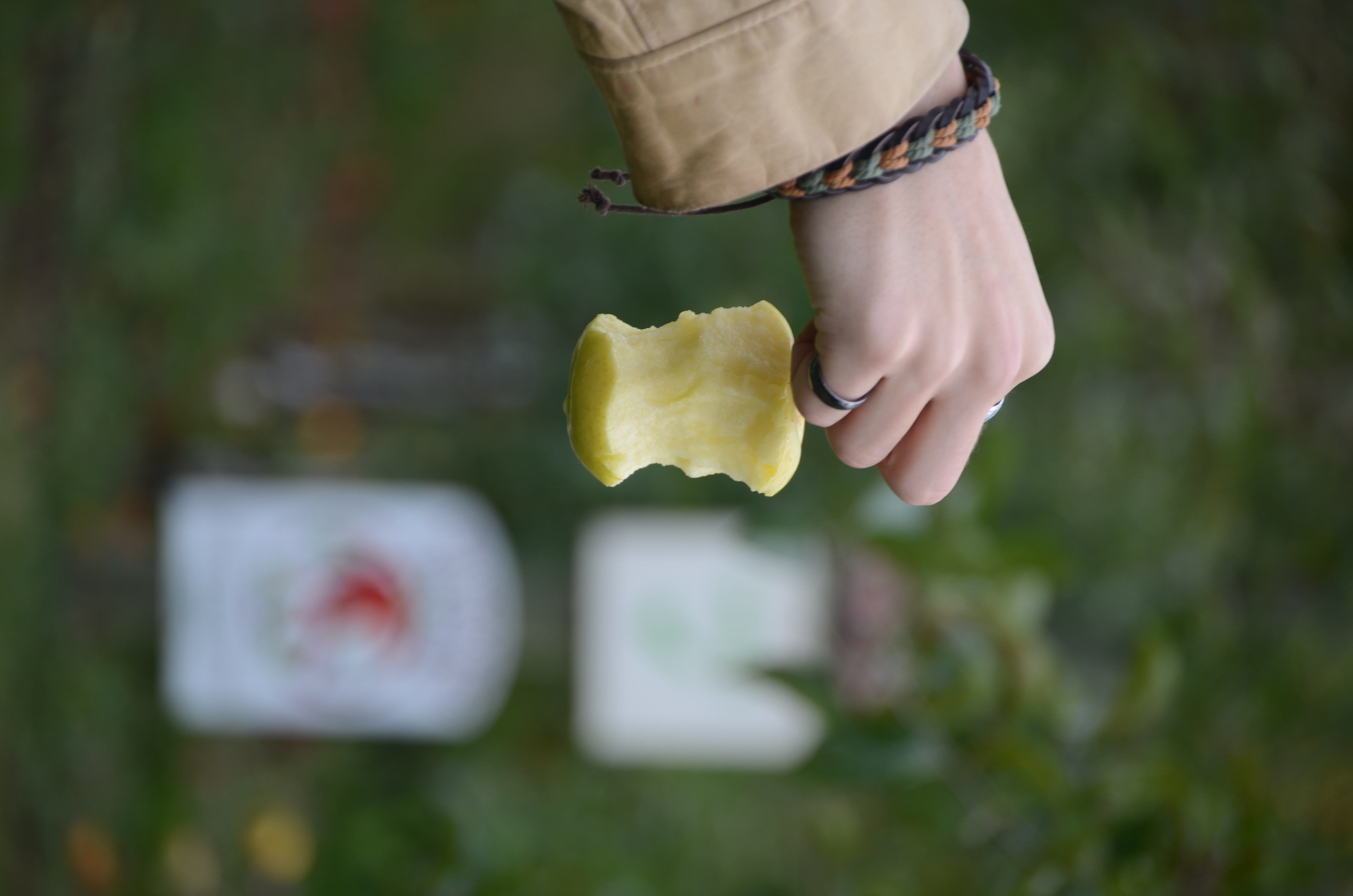 A hand holding a half-eaten yellow apple, with green leaves out of focus in the background.