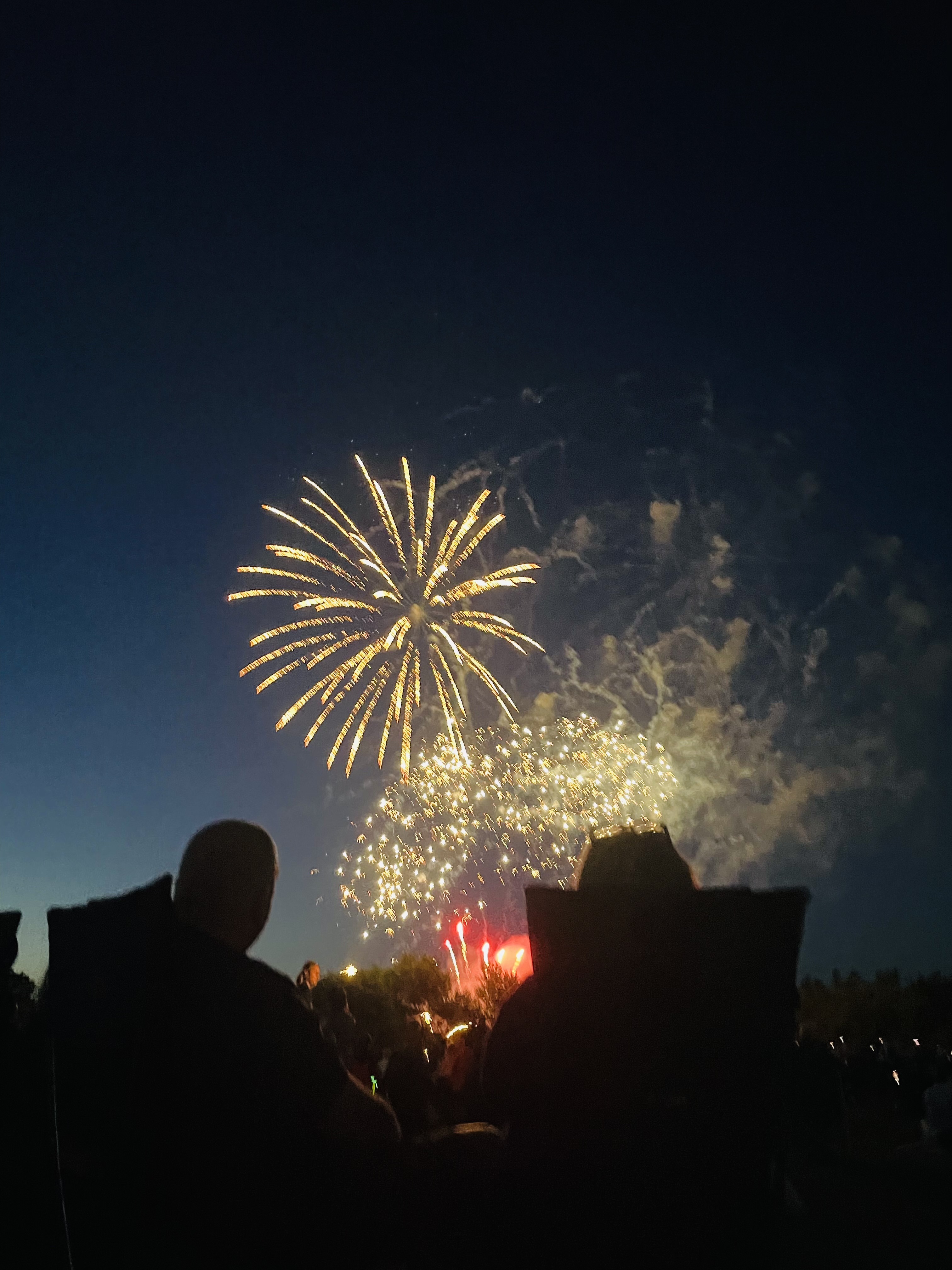 Red and yellow fireworks going off in the night sky behind the silhouettes of a married couple.